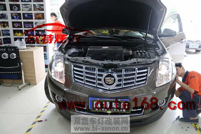 srx ĵ (1).jpg