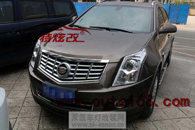 srx ĵ (7).jpg